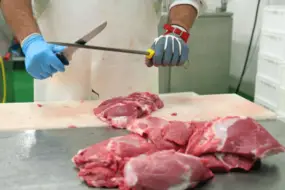 A butcher is sharpening boning knife with sharpening steel